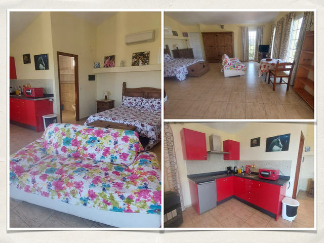 APARTMENT IN THE FIELD OF AVOCADO.007