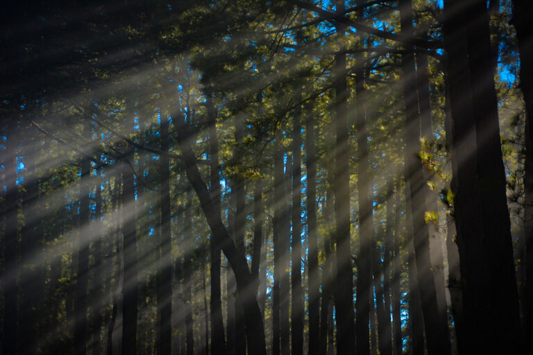 Fluctuación natural-14