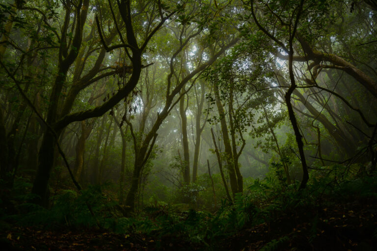 Fluctuación natural-16